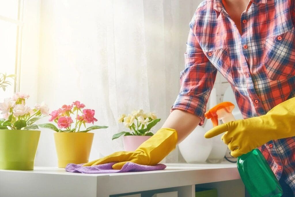 Highlands Ranch House Cleaning Services